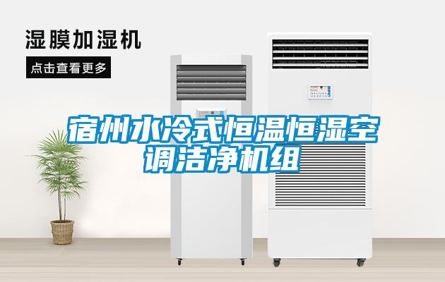 宿州水冷式恒溫恒濕空調(diào)潔凈機(jī)組