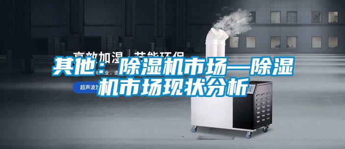 其他：除濕機市場—除濕機市場現(xiàn)狀分析