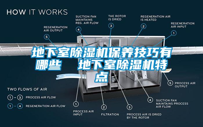 地下室除濕機(jī)保養(yǎng)技巧有哪些  地下室除濕機(jī)特點