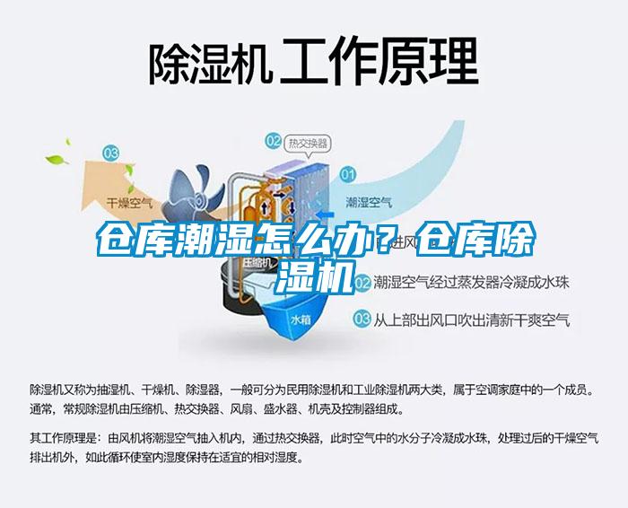 倉(cāng)庫(kù)潮濕怎么辦？倉(cāng)庫(kù)除濕機(jī)