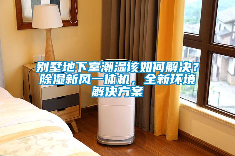 別墅地下室潮濕該如何解決？除濕新風(fēng)一體機(jī)，全新環(huán)境解決方案