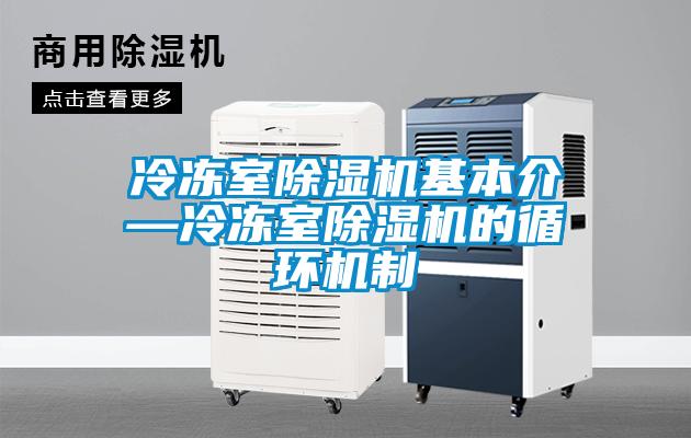 冷凍室除濕機基本介—冷凍室除濕機的循環(huán)機制