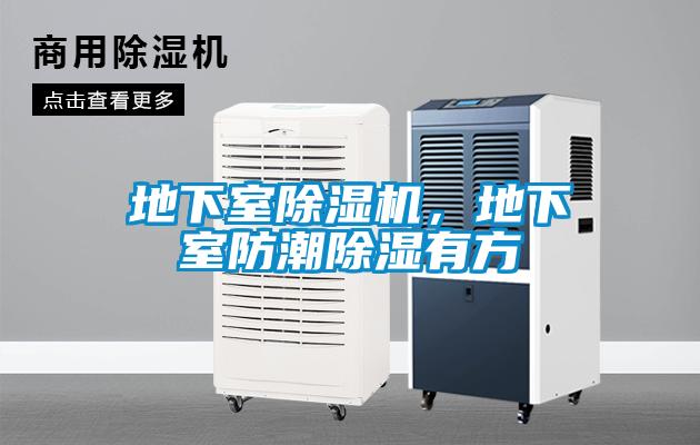 地下室除濕機(jī)，地下室防潮除濕有方