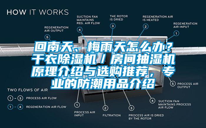回南天、梅雨天怎么辦？干衣除濕機(jī)／房間抽濕機(jī)原理介紹與選購(gòu)?fù)扑]，專業(yè)的防潮用品介紹