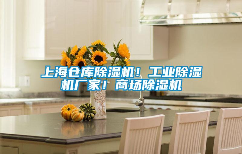 上海倉庫除濕機！工業(yè)除濕機廠家！商場除濕機