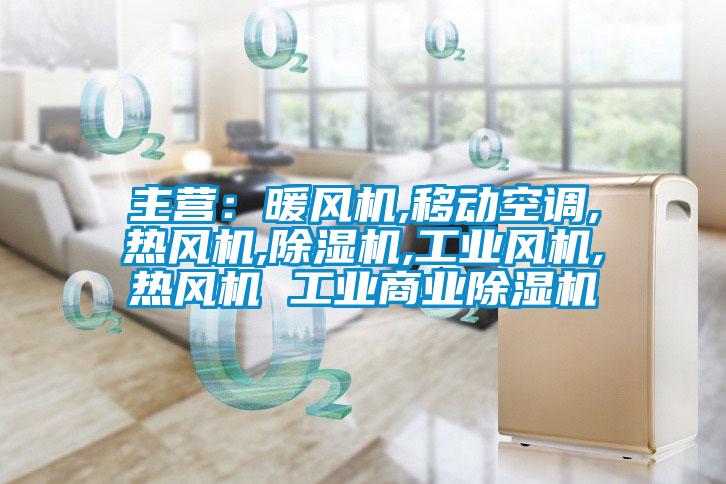 主營：暖風(fēng)機,移動空調(diào),熱風(fēng)機,除濕機,工業(yè)風(fēng)機,熱風(fēng)機 工業(yè)商業(yè)除濕機