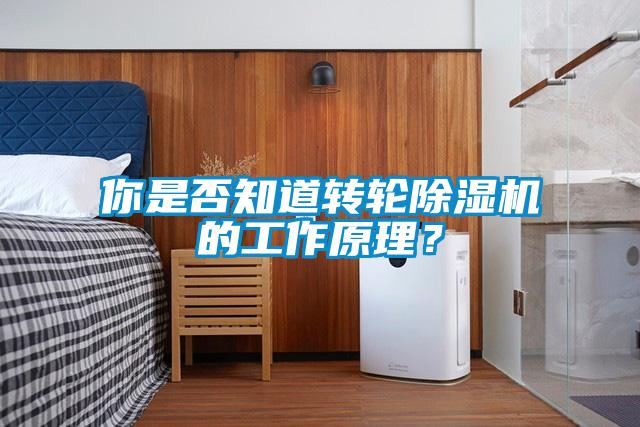 你是否知道轉(zhuǎn)輪除濕機(jī)的工作原理？
