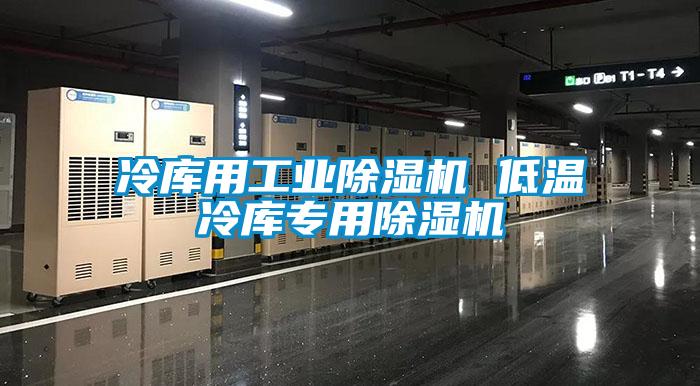 冷庫(kù)用工業(yè)除濕機(jī) 低溫冷庫(kù)專用除濕機(jī)