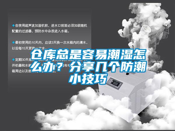 倉(cāng)庫(kù)總是容易潮濕怎么辦？分享幾個(gè)防潮小技巧
