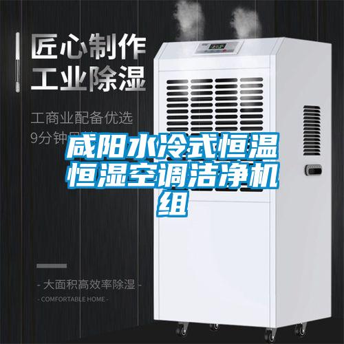 咸陽水冷式恒溫恒濕空調(diào)潔凈機組