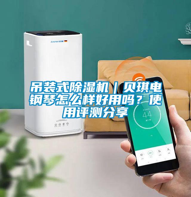 吊裝式除濕機(jī)｜貝琪電鋼琴怎么樣好用嗎？使用評測分享