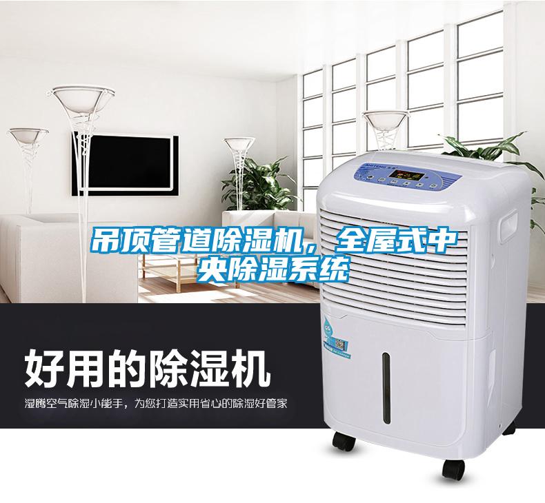 吊頂管道除濕機(jī)，全屋式中央除濕系統(tǒng)