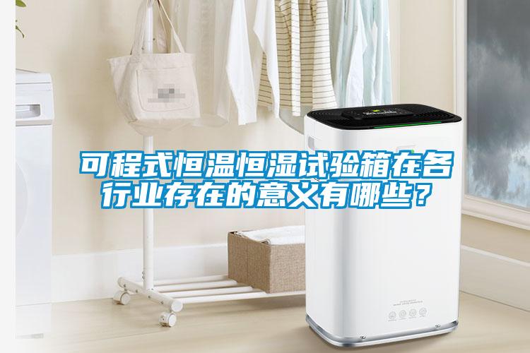 可程式恒溫恒濕試驗(yàn)箱在各行業(yè)存在的意義有哪些？