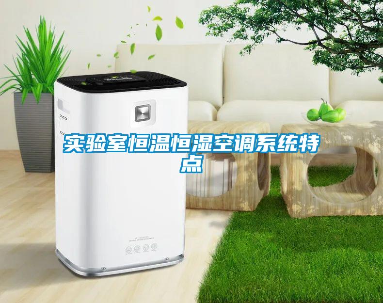實驗室恒溫恒濕空調(diào)系統(tǒng)特點