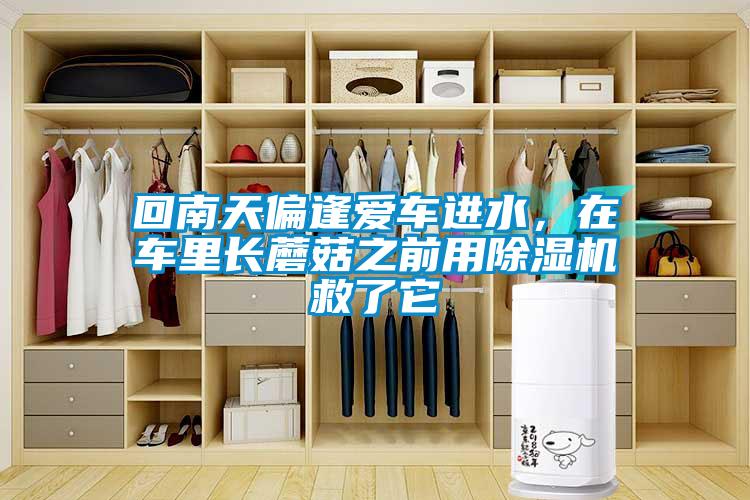 回南天偏逢愛車進水，在車里長蘑菇之前用除濕機救了它