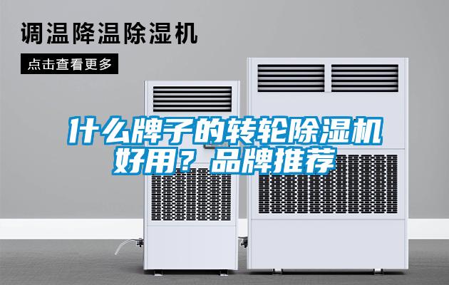 什么牌子的轉(zhuǎn)輪除濕機好用？品牌推薦
