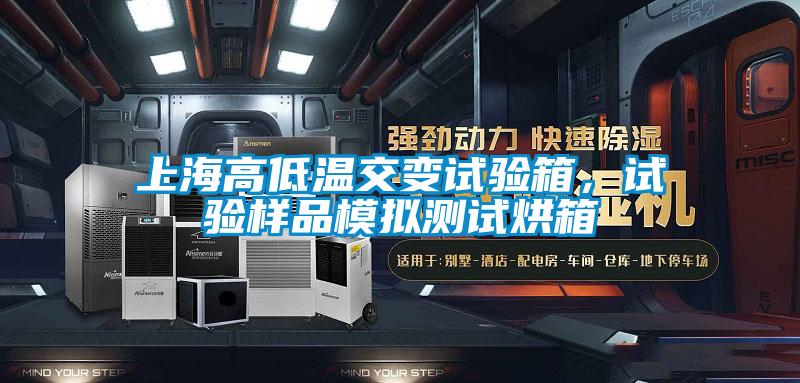 上海高低溫交變試驗(yàn)箱，試驗(yàn)樣品模擬測試烘箱