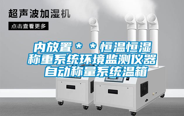 內(nèi)放置＊＊恒溫恒濕稱(chēng)重系統(tǒng)環(huán)境監(jiān)測(cè)儀器 自動(dòng)稱(chēng)量系統(tǒng)溫箱