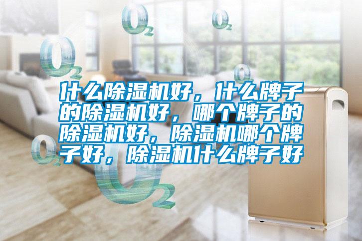 什么除濕機(jī)好，什么牌子的除濕機(jī)好，哪個(gè)牌子的除濕機(jī)好，除濕機(jī)哪個(gè)牌子好，除濕機(jī)什么牌子好