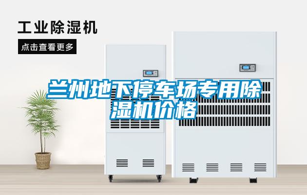 蘭州地下停車場專用除濕機(jī)價(jià)格