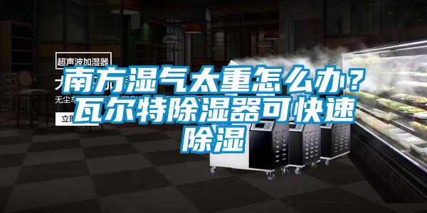 南方濕氣太重怎么辦？瓦爾特除濕器可快速除濕