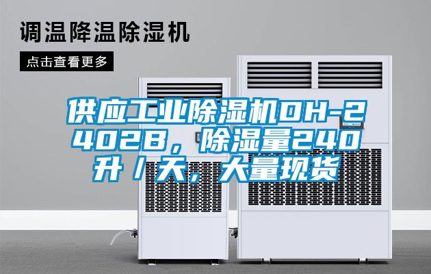 供應(yīng)工業(yè)除濕機(jī)DH-2402B，除濕量240升／天，大量現(xiàn)貨