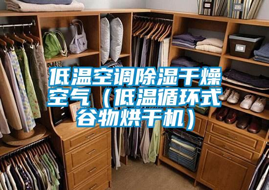 低溫空調(diào)除濕干燥空氣（低溫循環(huán)式谷物烘干機）