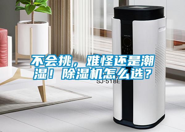 不會挑，難怪還是潮濕！除濕機(jī)怎么選？