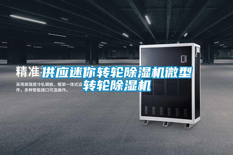 供應(yīng)迷你轉(zhuǎn)輪除濕機微型轉(zhuǎn)輪除濕機