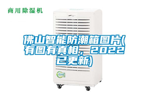 佛山智能防潮箱圖片(有圖有真相，2022已更新)