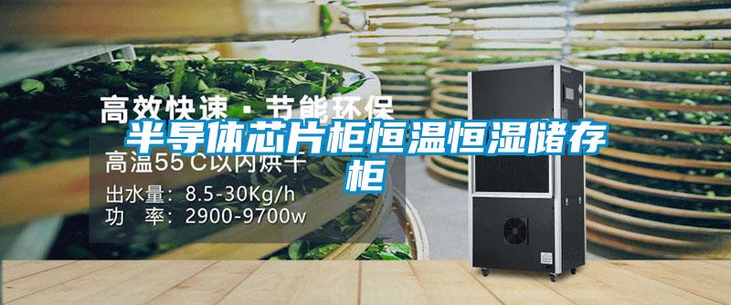 半導體芯片柜恒溫恒濕儲存柜