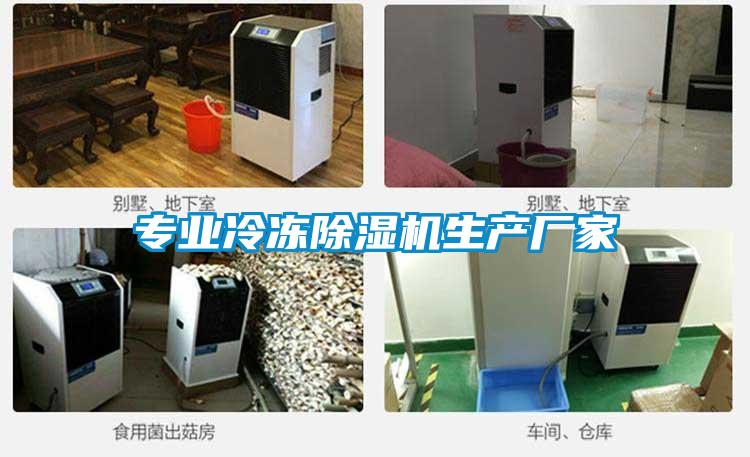 專業(yè)冷凍除濕機生產(chǎn)廠家