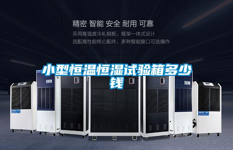 小型恒溫恒濕試驗(yàn)箱多少錢(qián)