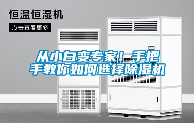 從小白變專家！手把手教你如何選擇除濕機