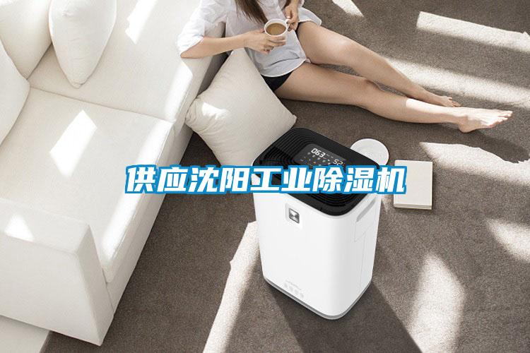 供應沈陽工業(yè)除濕機