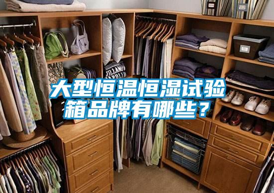 大型恒溫恒濕試驗(yàn)箱品牌有哪些？