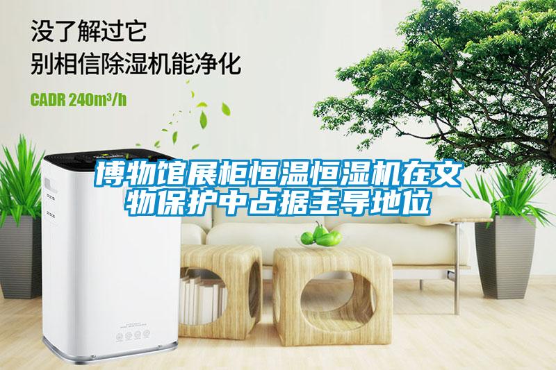 博物館展柜恒溫恒濕機在文物保護(hù)中占據(jù)主導(dǎo)地位