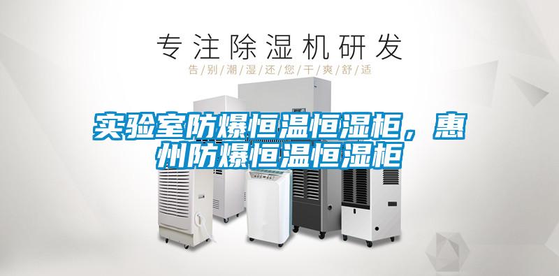 實(shí)驗(yàn)室防爆恒溫恒濕柜，惠州防爆恒溫恒濕柜