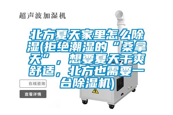 北方夏天家里怎么除濕(拒絕潮濕的“桑拿天”，想要夏天干爽舒適，北方也需要一臺除濕機(jī))