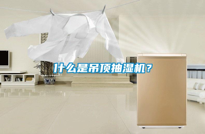 什么是吊頂抽濕機？