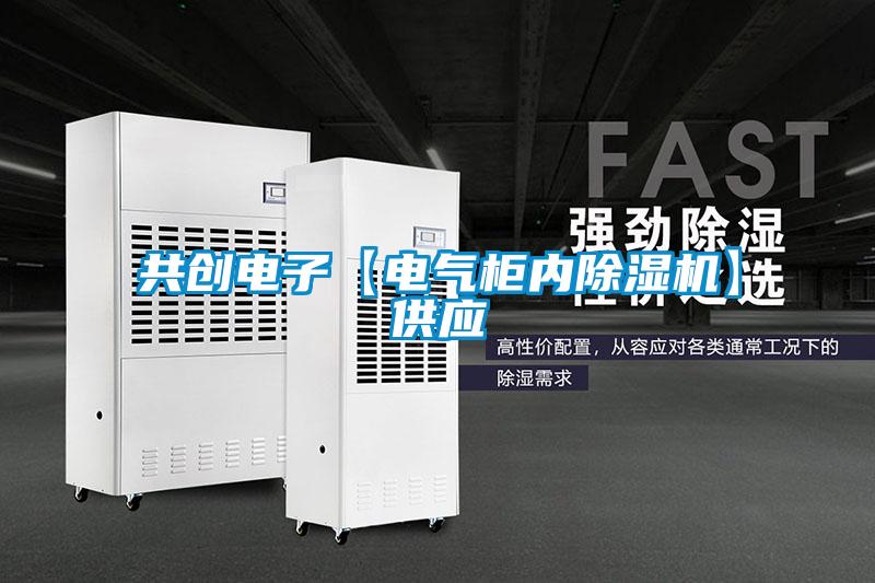 共創(chuàng)電子【電氣柜內(nèi)除濕機】供應