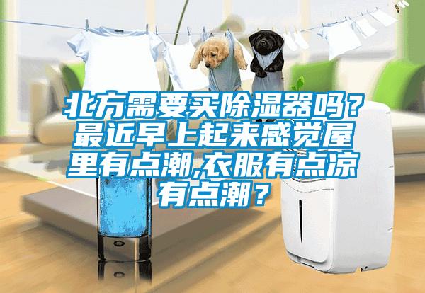 北方需要買除濕器嗎？最近早上起來感覺屋里有點(diǎn)潮,衣服有點(diǎn)涼有點(diǎn)潮？