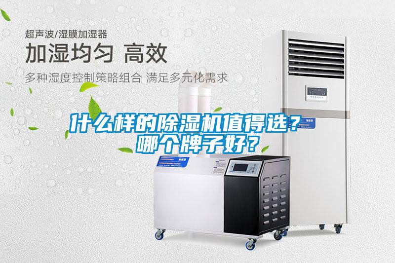 什么樣的除濕機值得選？ 哪個牌子好？