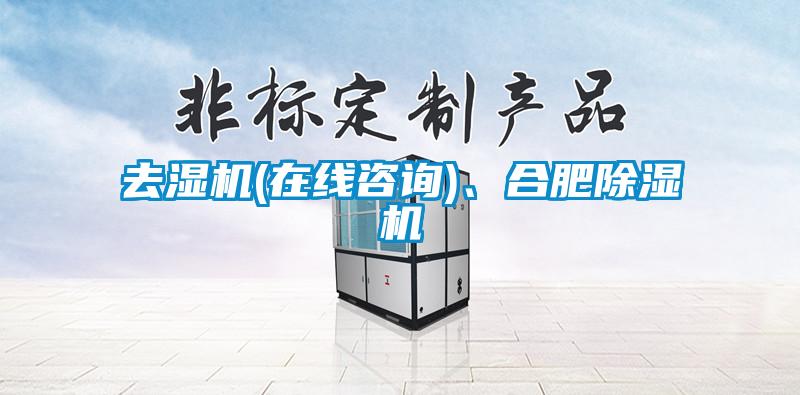 去濕機(在線咨詢)、合肥除濕機