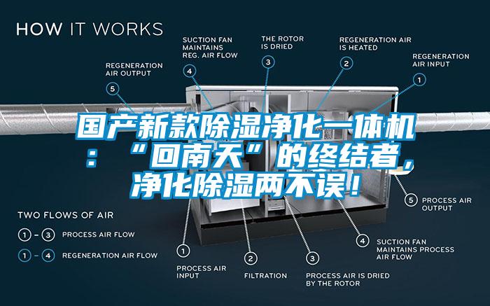 國產(chǎn)新款除濕凈化一體機(jī)：“回南天”的終結(jié)者，凈化除濕兩不誤！