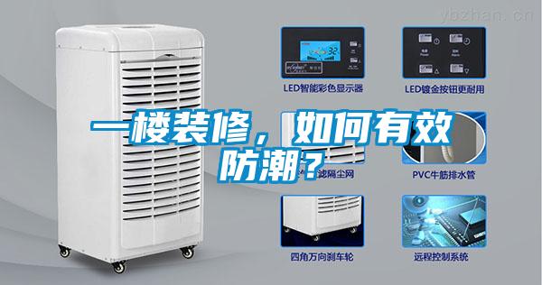 一樓裝修，如何有效防潮？