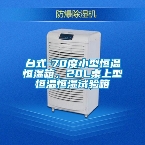 臺式-70度小型恒溫恒濕箱，20L桌上型恒溫恒濕試驗箱