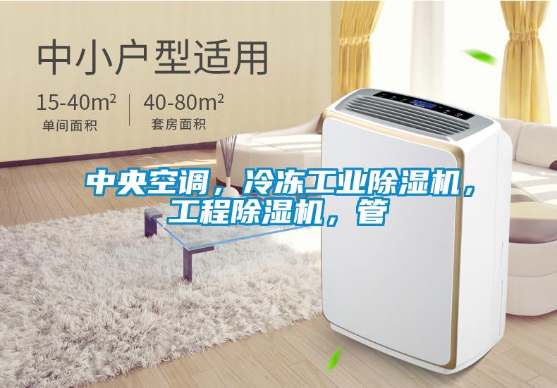 中央空調(diào)，冷凍工業(yè)除濕機，工程除濕機，管