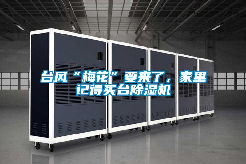 臺風(fēng)“梅花”要來了，家里記得買臺除濕機