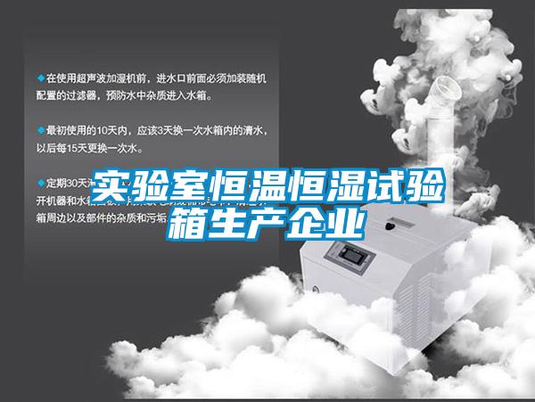 實(shí)驗(yàn)室恒溫恒濕試驗(yàn)箱生產(chǎn)企業(yè)